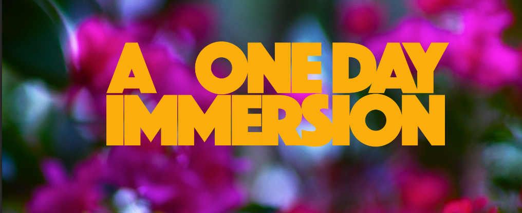 A ONE DAY IMMERSION