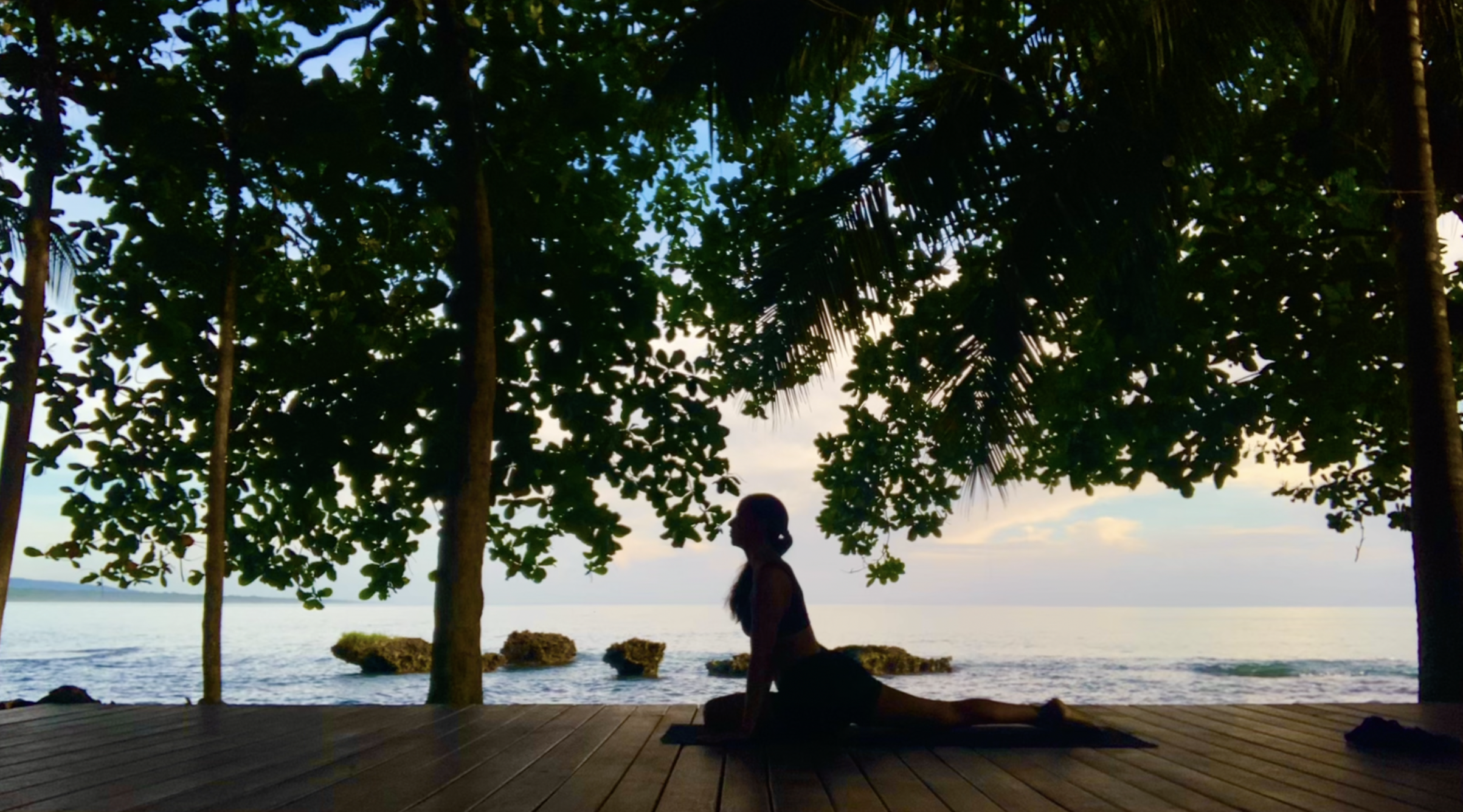 YOGA ĀSANA + PRĀṆĀYĀMA CLASS